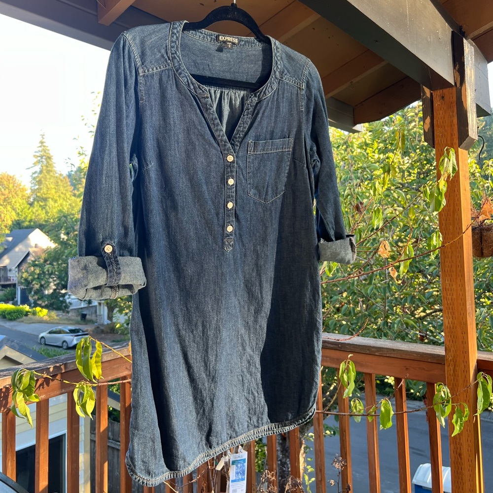 Express Denim Straight Line Dress